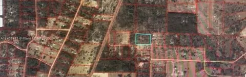 131 SE 131st Ave, Williston, FL 32668
