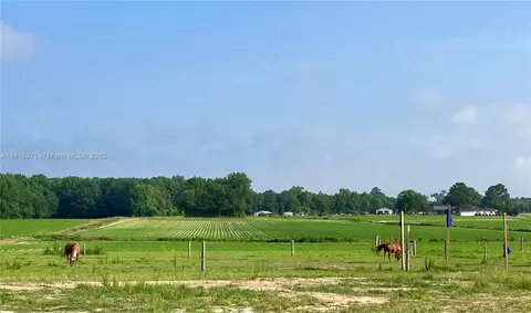 453 Old Mill Rd, Stantonsburg, NC 27883