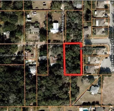 116 Anderson Pl Ocoee, Other City - In The State Of Florida, FL 34761