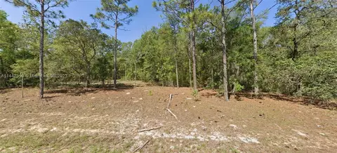 9654 N Dearing Loop, Other City - In The State Of Florida, FL 34434