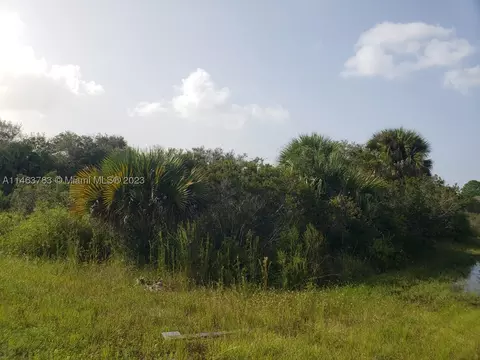 19213 NW 284th St, Okeechobee, FL 34972