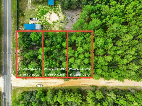 501 Del Monaco Ave, Other, FL 32148