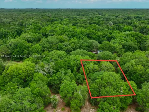 2305 Clifford St, Other, FL 32148