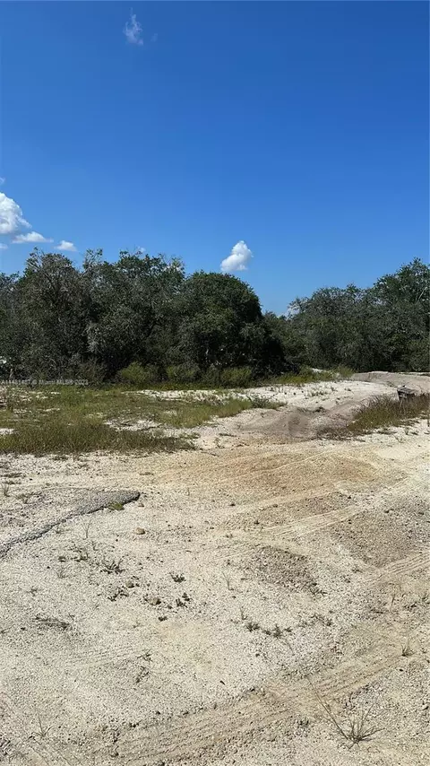 412 Eleanor Blvd, Lake Placid, FL 33852