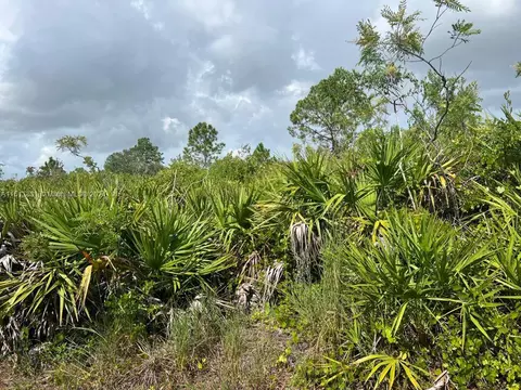 1715 Congress Ave, Lehigh Acres, FL 33972