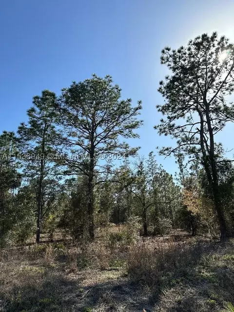Undetermine Dunnelon, Ocala, FL 34431