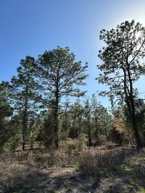 Undetermine Dunnelon, Ocala, FL 34431