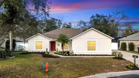 311 Paradise Woods Pl, Davenport, FL 33896