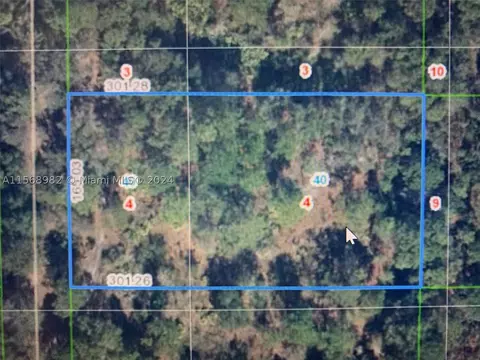 1939 S Griese Rd, Avon Park, FL 33825