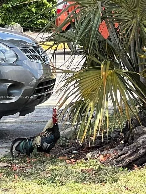 Other - Undisclosed, Hialeah, FL 33012 photo 3 of 3