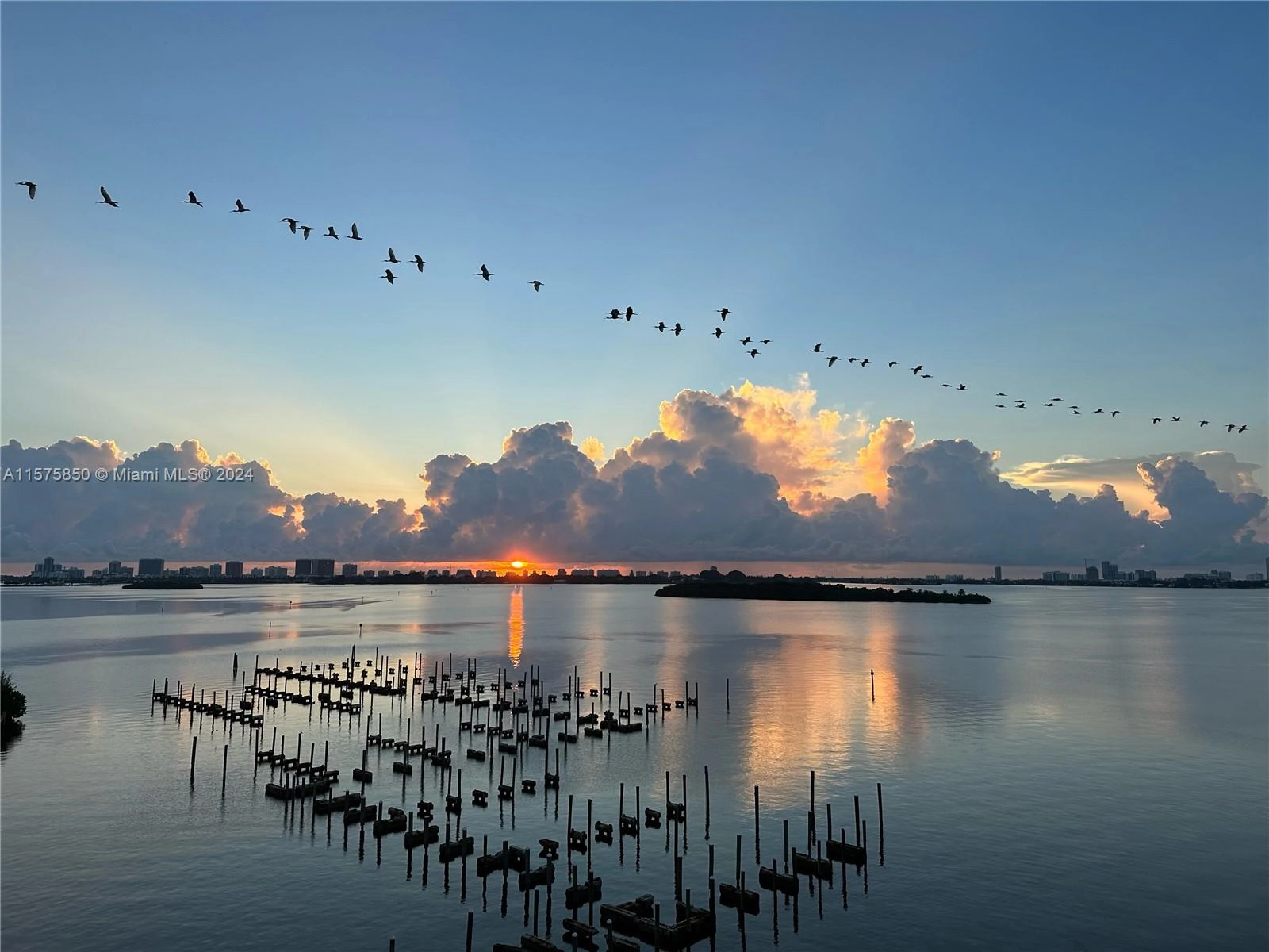 11113 Biscayne Blvd Unit 657  