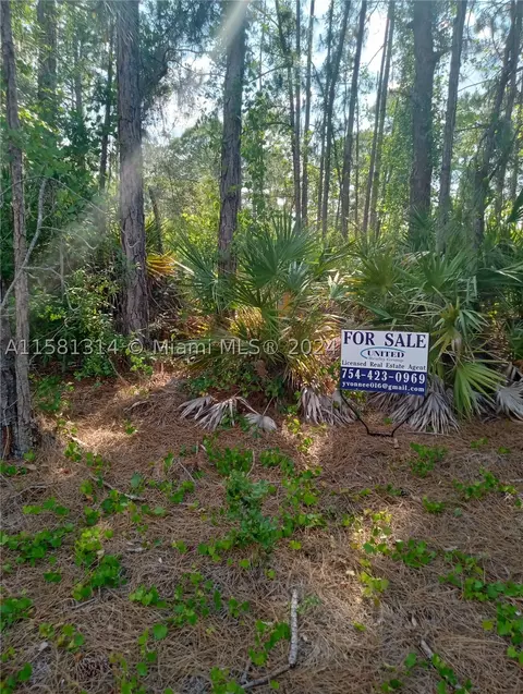 1717 Edison Ave, Lehigh Acres, FL 33972