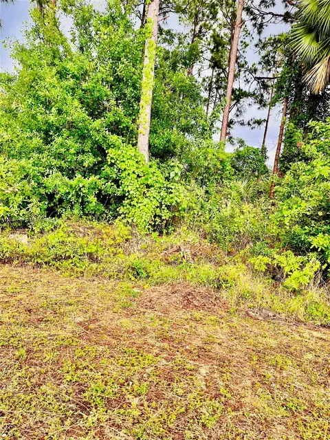 Undisclosed, Other City - In The State Of Florida, FL 32909