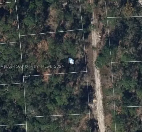256 Sunnyside Dr, Lake Placid, FL 33852