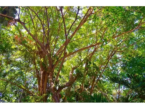 Undisclosed, Coral Gables, FL 33133