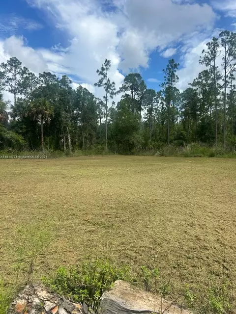 1243 Raphael St E, Lehigh Acres, FL 33974 photo 1