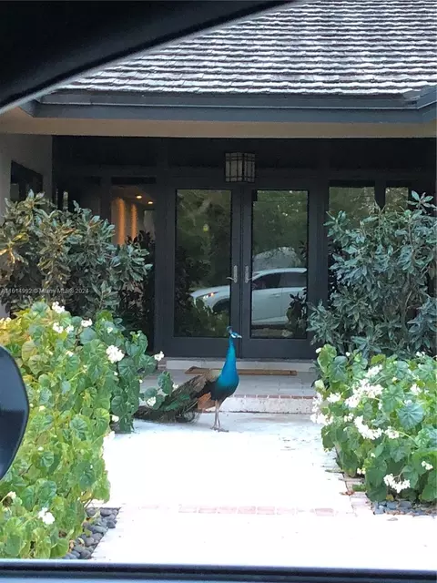 6590 SW 96th St, Pinecrest, FL 33156