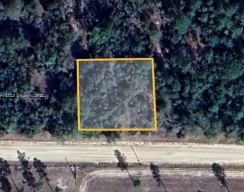 Williston Williston, Williston, FL 32696 photo 2