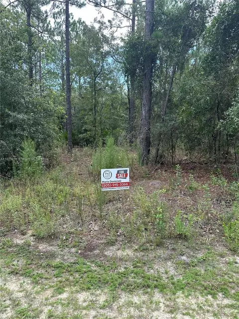 Undisclosed, Ocala, FL 34481 photo 15