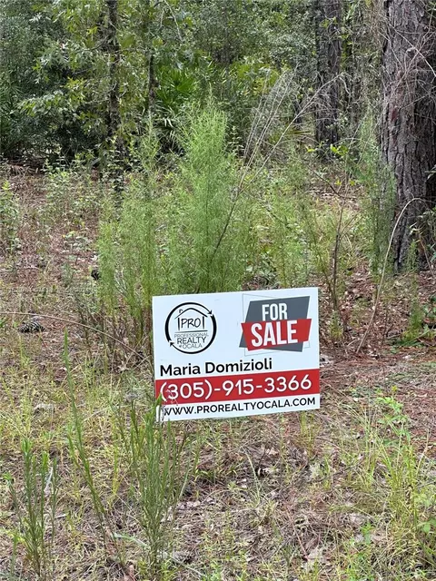 Undisclosed, Ocala, FL 34481 photo 13