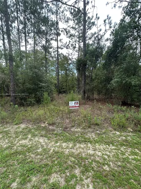 Undisclosed, Ocala, FL 34481 photo 14