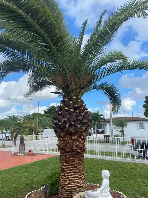 Other - 180 E 62nd St, Hialeah, FL 33013 photo 3 of 11