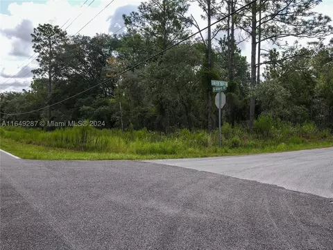 Corner Fig Tree Lane And India Hill Drive, Other, FL 34431