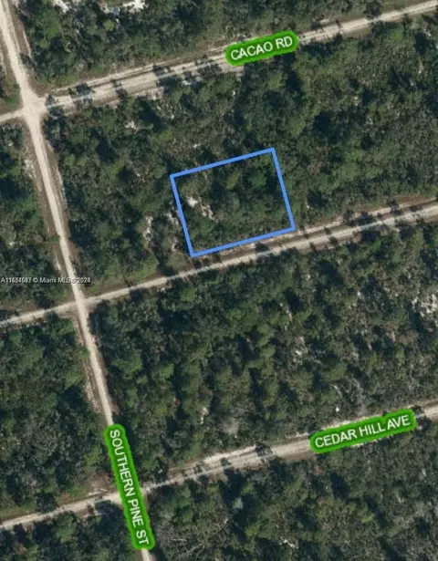 3047 Hollow Oak Ave, Lake Placid, FL 33852