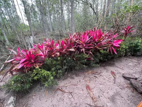 0 N Commonwealth Ave, Other City - In The State Of Florida, FL 33868