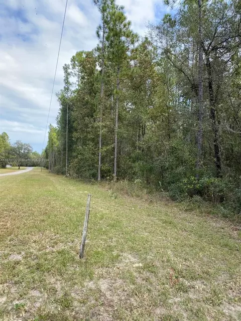 831 SE 116th Ter, Williston, FL 32696 photo 5