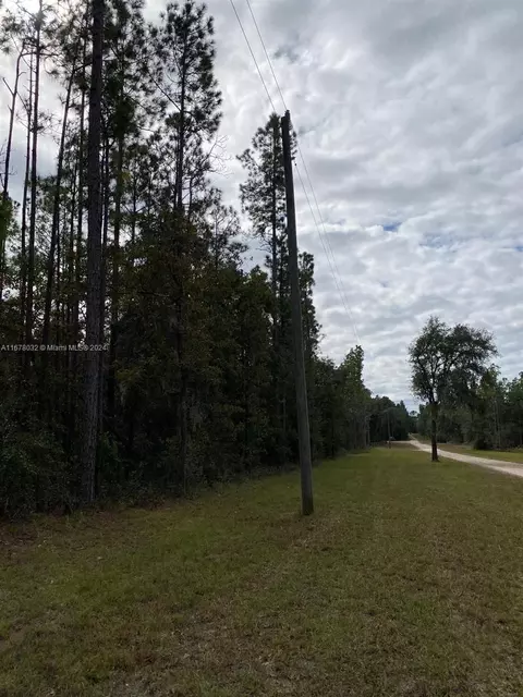 831 SE 116th Ter, Williston, FL 32696 photo 4