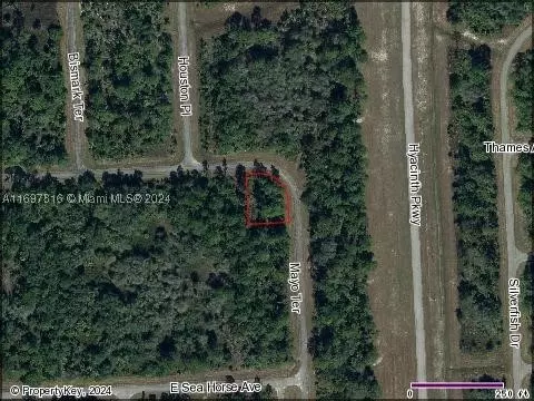 319 James Irwin Terr Banyan Vlg, La Belle, FL 33935