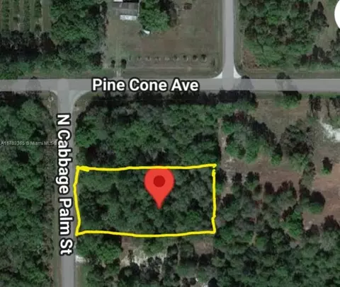 875 N Cabbage Palm St, Clewiston, FL 33440