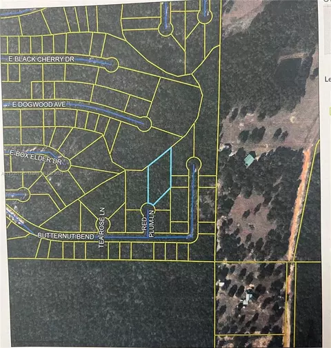 0 Red Plum Ln, Other, FL 32433