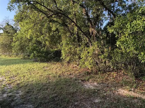 0000 Ocala, Ocala, FL 34473 photo 3