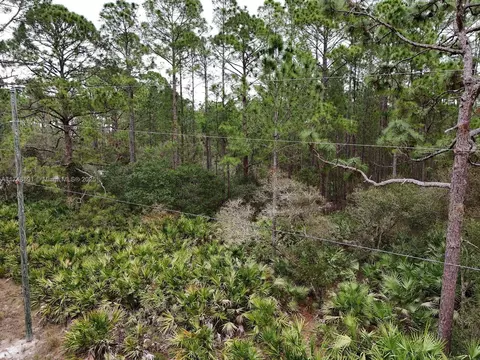 0 Poinciana St, Other City - In The State Of Florida, FL 32736 photo 6