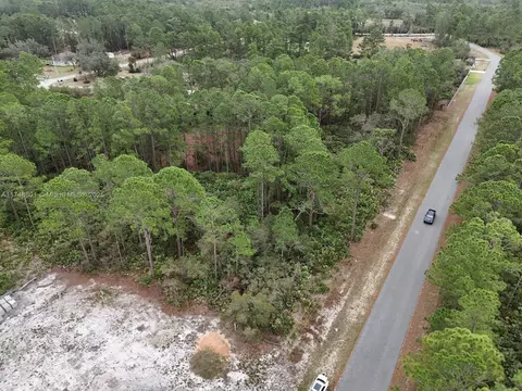 0 Poinciana St, Other City - In The State Of Florida, FL 32736 photo 7