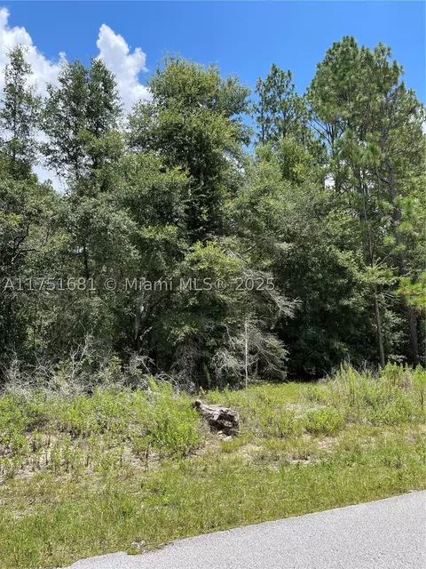 tbd SW 59th Ln, Other, FL 34431