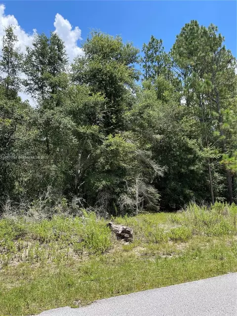 tbd SW 59th Ln, Other, FL 34431