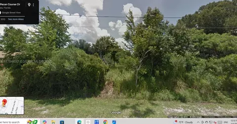 Nnn Pecan Course Circle, Ocala, FL 34472 photo 3