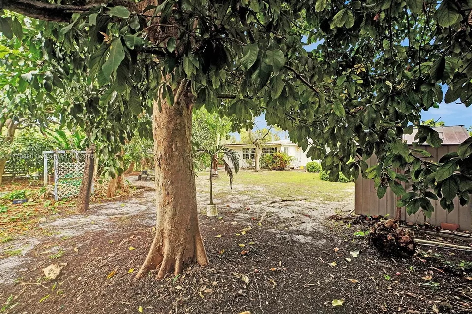 Exterior - 1930 NW 132nd St, Miami, FL 33167 photo 9 of 12