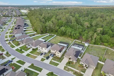 13405 Willow Bluestar Loop, Riverview, FL 33579 photo 46