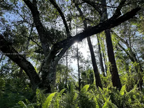 161 Taft Blvd, Clewiston, FL 33440 photo 8