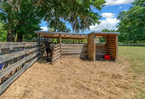 Exterior - 4500 SE 17th St, Ocala, FL 34471 photo 22 of 24