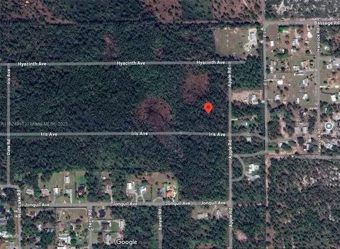 910 Iris Ave, Sebring, FL 33875 photo 3