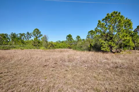 1025 E Winters St, Lehigh Acres, FL 33974 photo 2