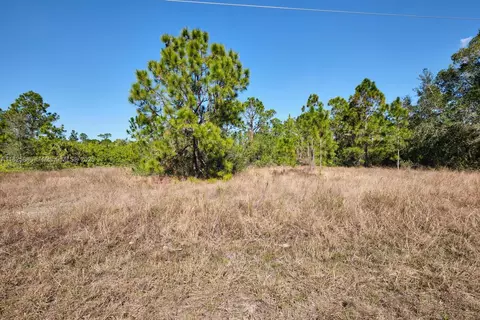 1025 E Winters St, Lehigh Acres, FL 33974 photo 17