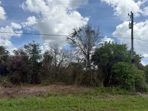 209 Bald Cypress Ave, Clewiston, FL 33440
