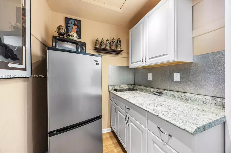  1535 NE 5th Ter, Fort Lauderdale, FL 33304 photo 9