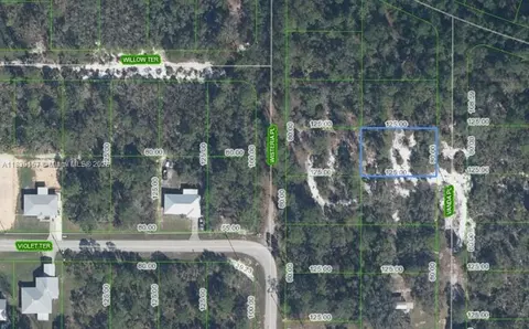 6809 Vanda Pl, Sebring, FL 33875 photo 2